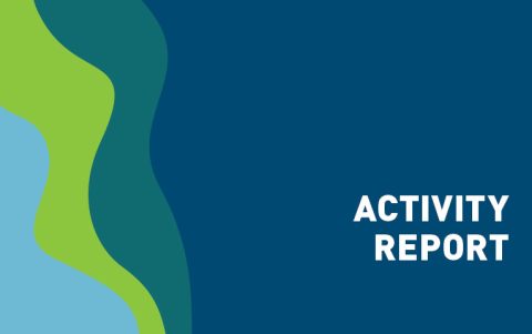 Activity Report