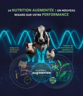 La nutrition augmentée : un nouveau regard sur votre performance