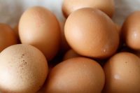 Oeufs de poules