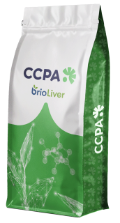 Sacherie Brioliver CCPA