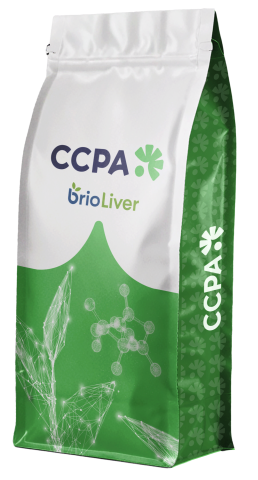 Sacherie Brioliver CCPA