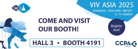 Banner Viv Asia