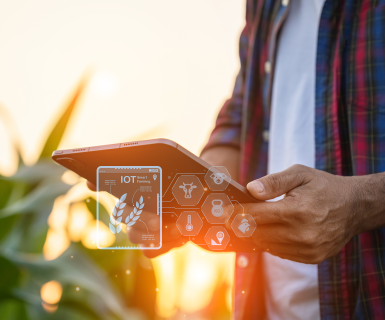 Éleveur utilisant une tablette numérique dans un champ pour piloter son activité agricole