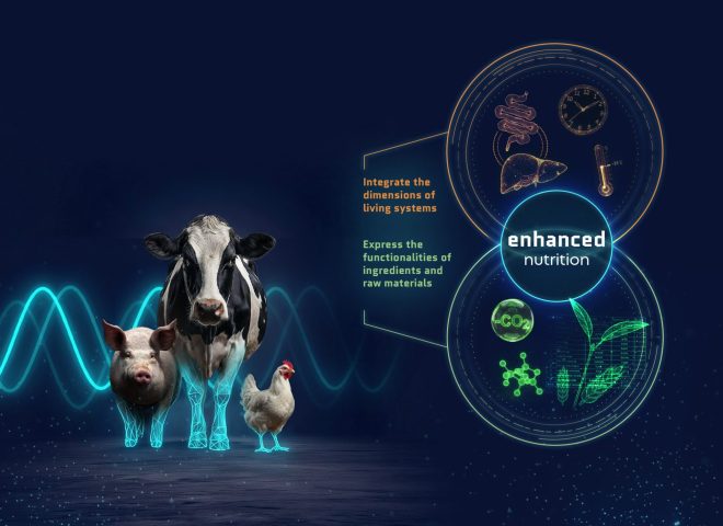 Image of Enhance Nutrition, the animal nutrition vision by CCPA